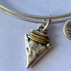 Alex and Ani arrowhead charm bracelet